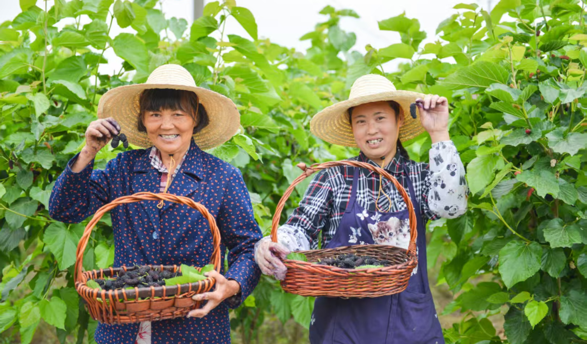 Shanghai Countryside Farm